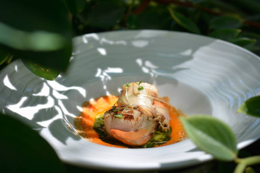 professional-chef-serving-exotic-seafood-dish-add-2022-11-08-06-02-20-utc (1)